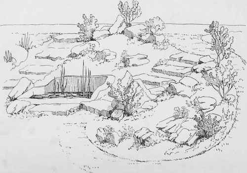 Use of shrubs in the rock garden. Showing how a rough bank in the author's garden was treated by forming a pool, setting steps and stones, and planting small shrubs.
