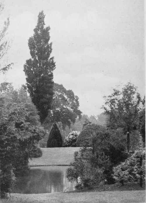 A View In The Water Garden At Aldenham House, Elstree, Showing Cytisus Semperflorens On The Right