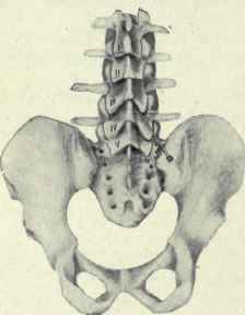 Fig. 490. Lumbar puncture of the spine.
