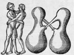 Fig. 17.