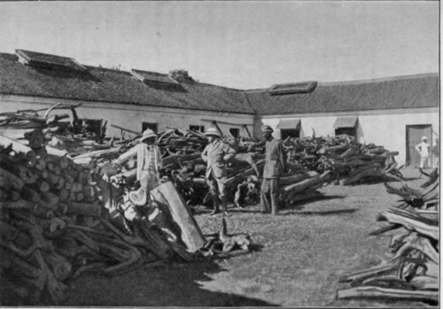 Fig. 31. Sandalwood koti in Bangalore.