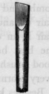 Fig. 17   Stick for Cleaning Teeth.