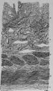 Etiology 56