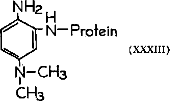 Azo Dyes 28