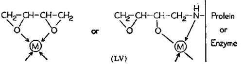 Cancer Chemotherapeutic Agents 49