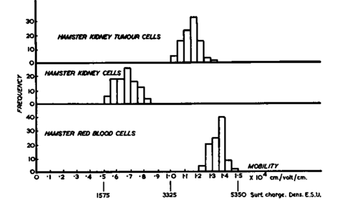 Histograms of surface charge density of normal and tumor cells of hamster kidney