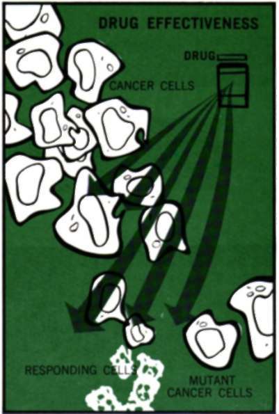 cells resistant to the action of a specific drug