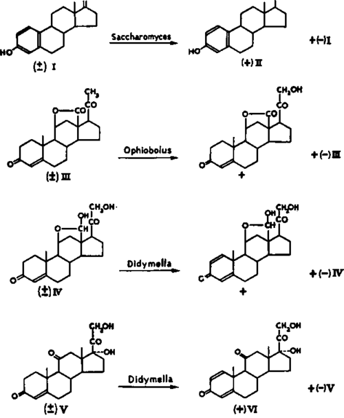 Analytical Applications