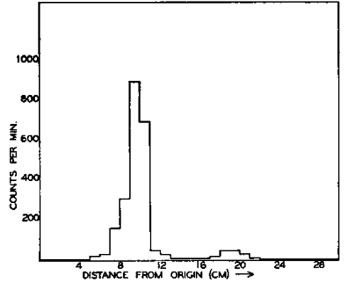 Paper chromatogram of phosphoserine fraction isolated by chromatography on Dowex 1