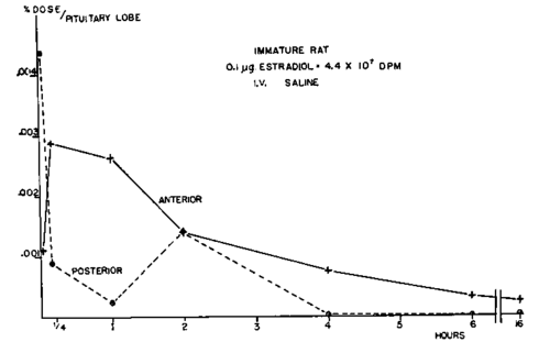Radioactivity in different pituitary lobes after single intravenous administration of high level estradiol