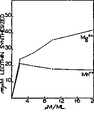 Requirement of divalent cation for PC glyceride transferase activity