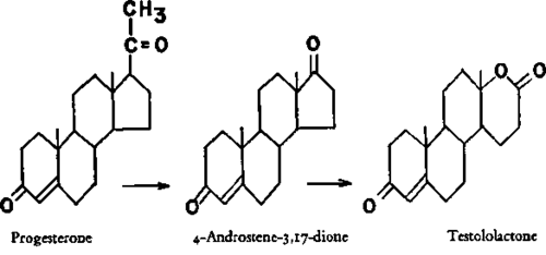 The conversion of the five membered, ring D ketone