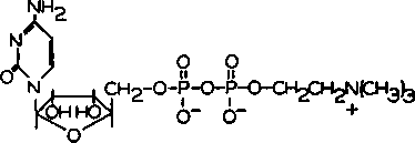 The structure of cytidine diphosphate choline
