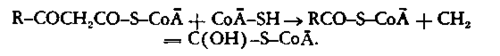 splitting off of the acetyl CoA in the enolized form