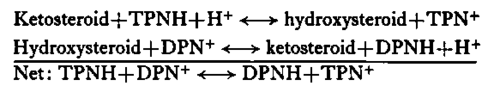 transhydrogenation reactions