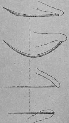 15. Suchi shastra.