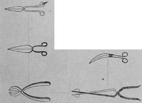 8. Antarmukha kartarika.