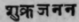 19. Sukrajanana   Increase the secretion of semen.