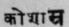 A Glossary Of Indian Plants Mentioned In Sanskrit  1104