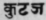 A Glossary Of Indian Plants Mentioned In Sanskrit  1132