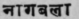 A Glossary Of Indian Plants Mentioned In Sanskrit  1182