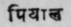 A Glossary Of Indian Plants Mentioned In Sanskrit  1237
