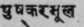 A Glossary Of Indian Plants Mentioned In Sanskrit  1249
