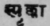 A Glossary Of Indian Plants Mentioned In Sanskrit  1315