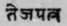 A Glossary Of Indian Plants Mentioned In Sanskrit  1349