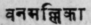 A Glossary Of Indian Plants Mentioned In Sanskrit  1374