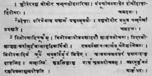 Bambusa Arundinacea Willd Sans 781