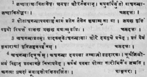 Hyoscyamus Niger Linn 576
