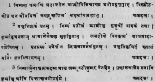 Nat Order Meliaceae Azadirachta Indica Sans 366