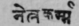 Netrakarma