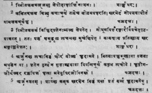 Terminalia Arjuna Bedd Sans 448