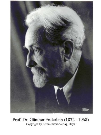 Professor Dr. Günther Enderlein (1872-1968)