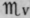 Dose 517