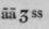 Signa 666