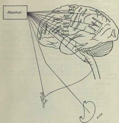 Alcohol 61