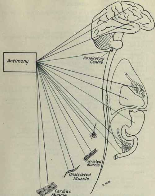 Antimony 77