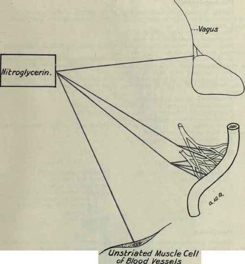 Nitroglycerin 73