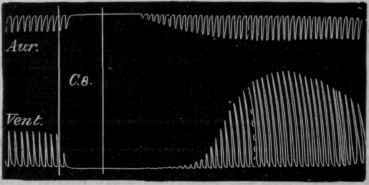 Fig. 112. After Gaskell. Tracing showing the action of the vagus on the heart. Aur. indicates the auricular, and Vent. the ventricular tracing. The part included between the upright lines indicates the time during which the vagus was stimulated.