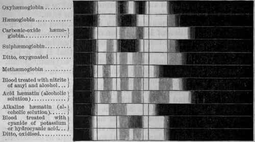 Fig. 12.   Chart showing the spectroscopic absorption bands of haemoglobin and its derivatives