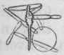 Fig. 25.   A group of conidia which have caused the leucocytes surrounding a spore to dissolve,