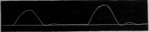 Fig. 41.   Shows effect of making and breaking shocks. These are normal muscle curves with a still quicker rotating cylinder than in Fig. 4od. The first is caused by irritating the muscle by making (closing) a constant current, and the second by breaking (opening) it.