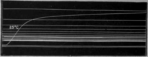 Fig. 48.   Tracing of the contraction curve of a muscle poisoned by veratrine, showing enormous prolongation of the contraction, the recording cylinder making many complete revolutions before the muscle is completely relaxed.