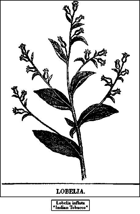 Properties And Uses 2