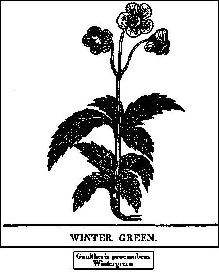 Properties And Uses 5