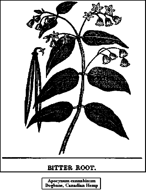 Properties And Uses 6
