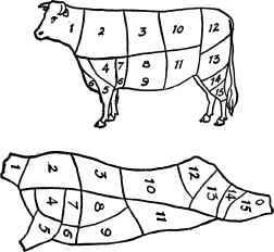 Cuts of Beef.